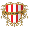 Sokol Brozany