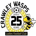 Crawley Wasps (W)